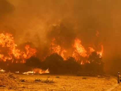 El Colegio de Registradores habilita a través de su web un formulario para facilitar a los afectados por los incendios notas simples de forma automática y gratuita