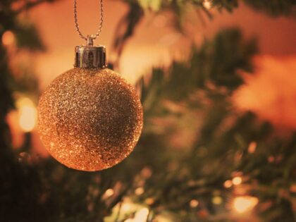 Felices Fiestas